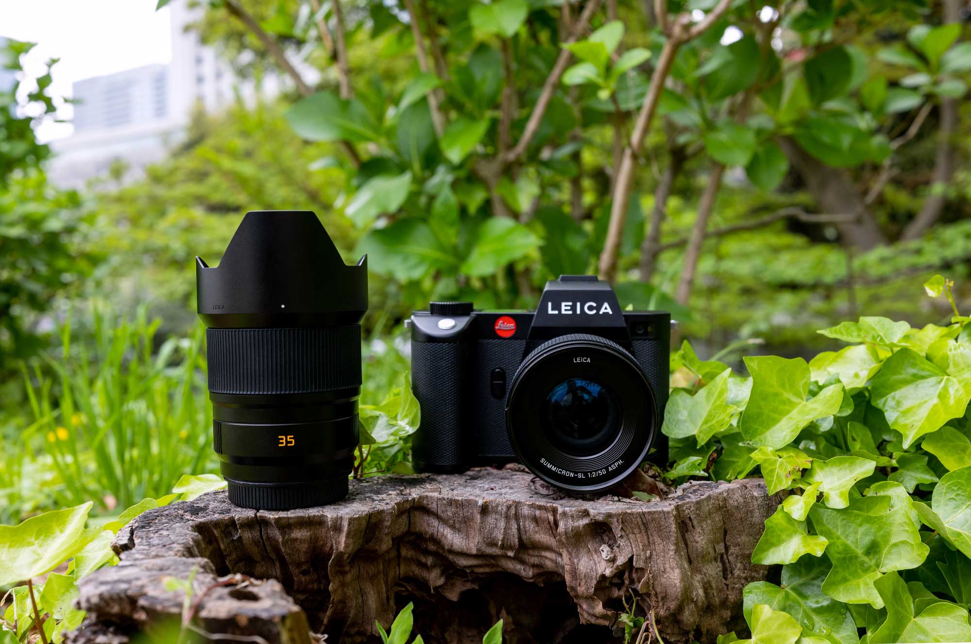 Leica Summicron SL 35 f/2 ASPH ライカ ズミクロン