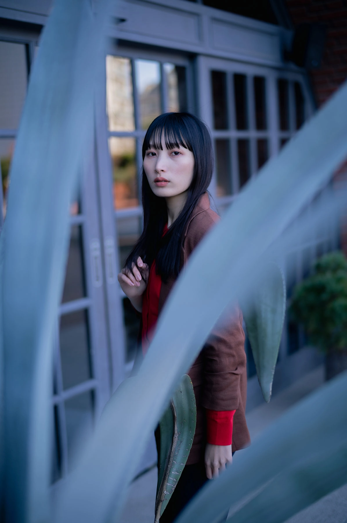 ライカM11 + ズミルックスM f1.4/50mm ASPH.