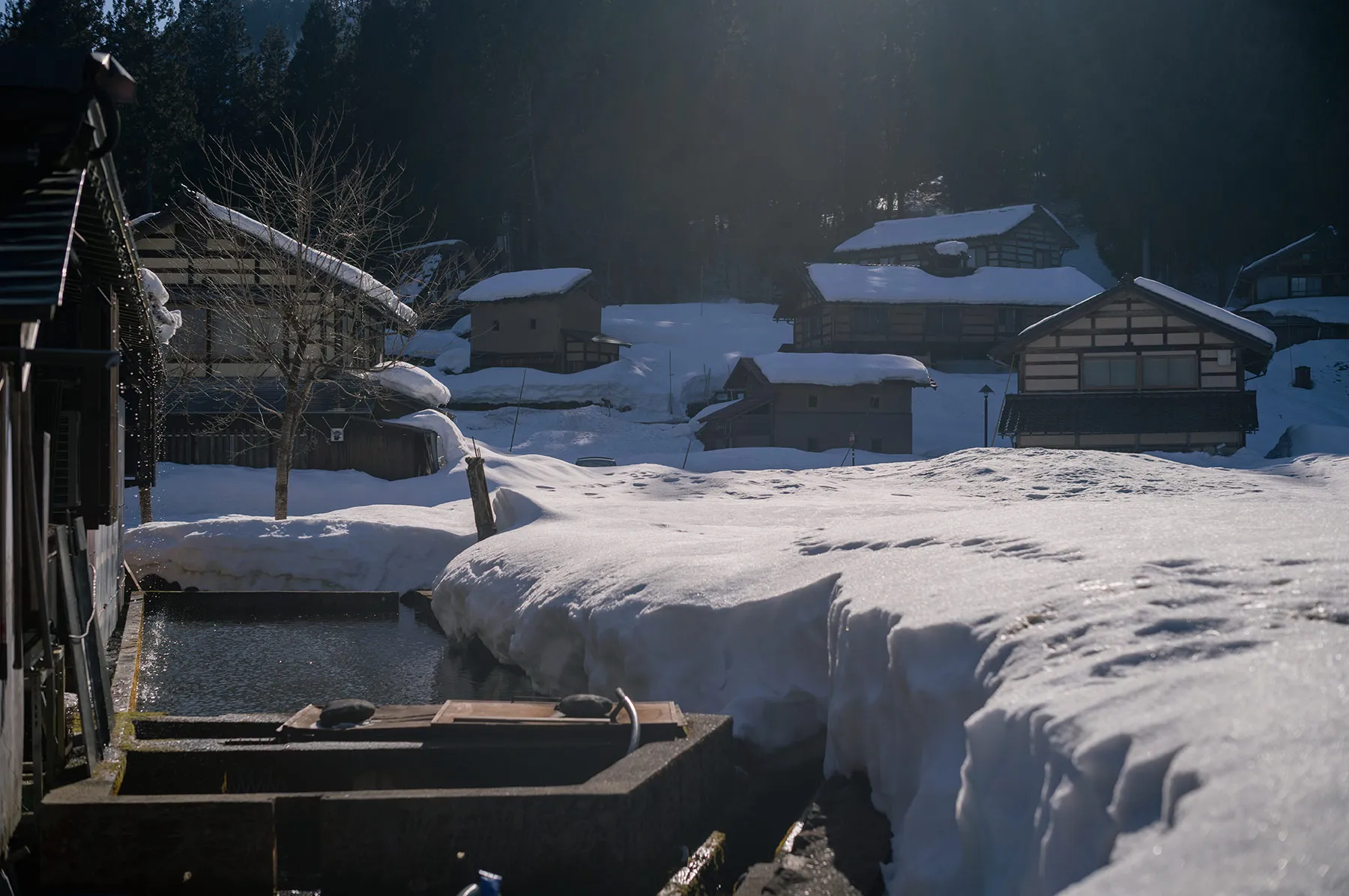ライカM11 + ズミルックスM f1.4/50mm ASPH.