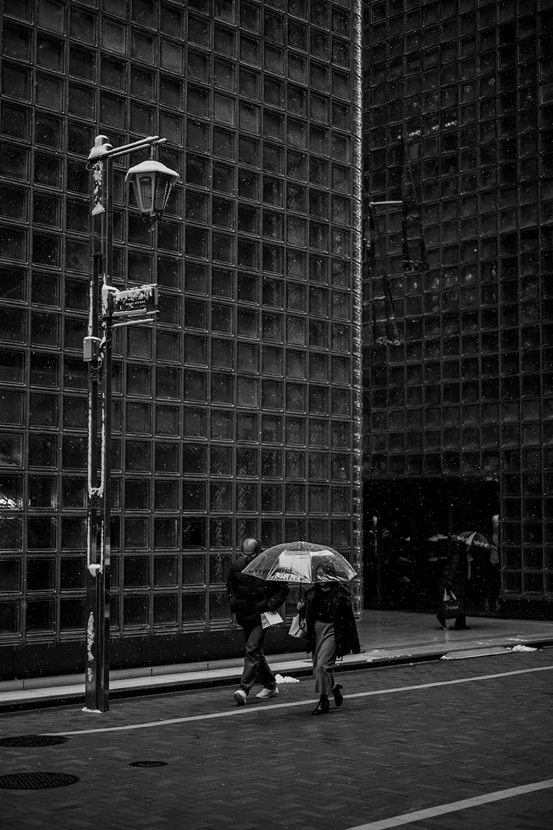 ライカM11 + Summilux 50mm (11728)