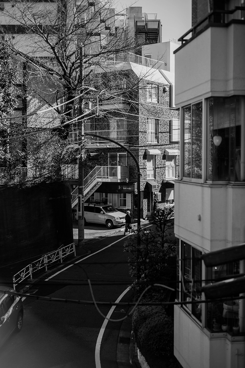 ライカM11 + Summilux 50mm (11728)