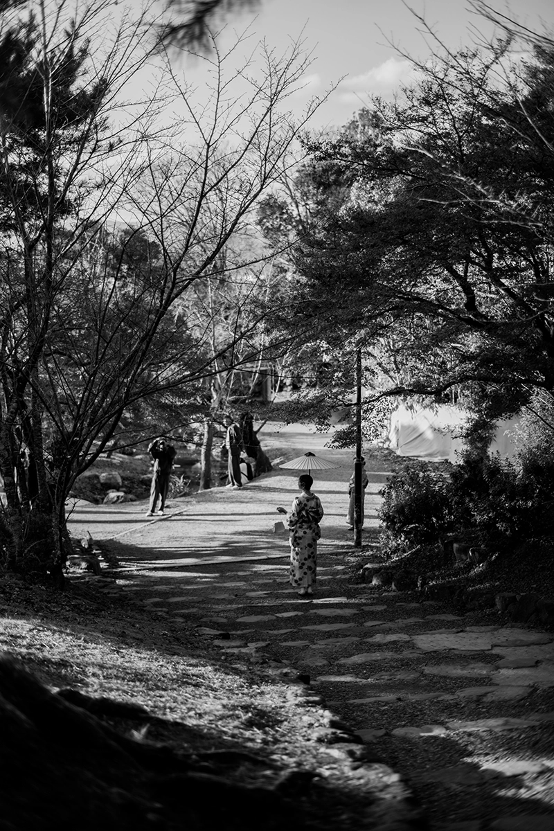 ライカM11 + Summilux 50mm(11714)