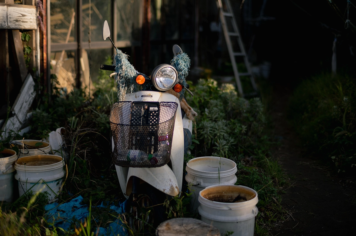 ライカM11 + Summilux 50mm(クラシックレンズシリーズ 11714)