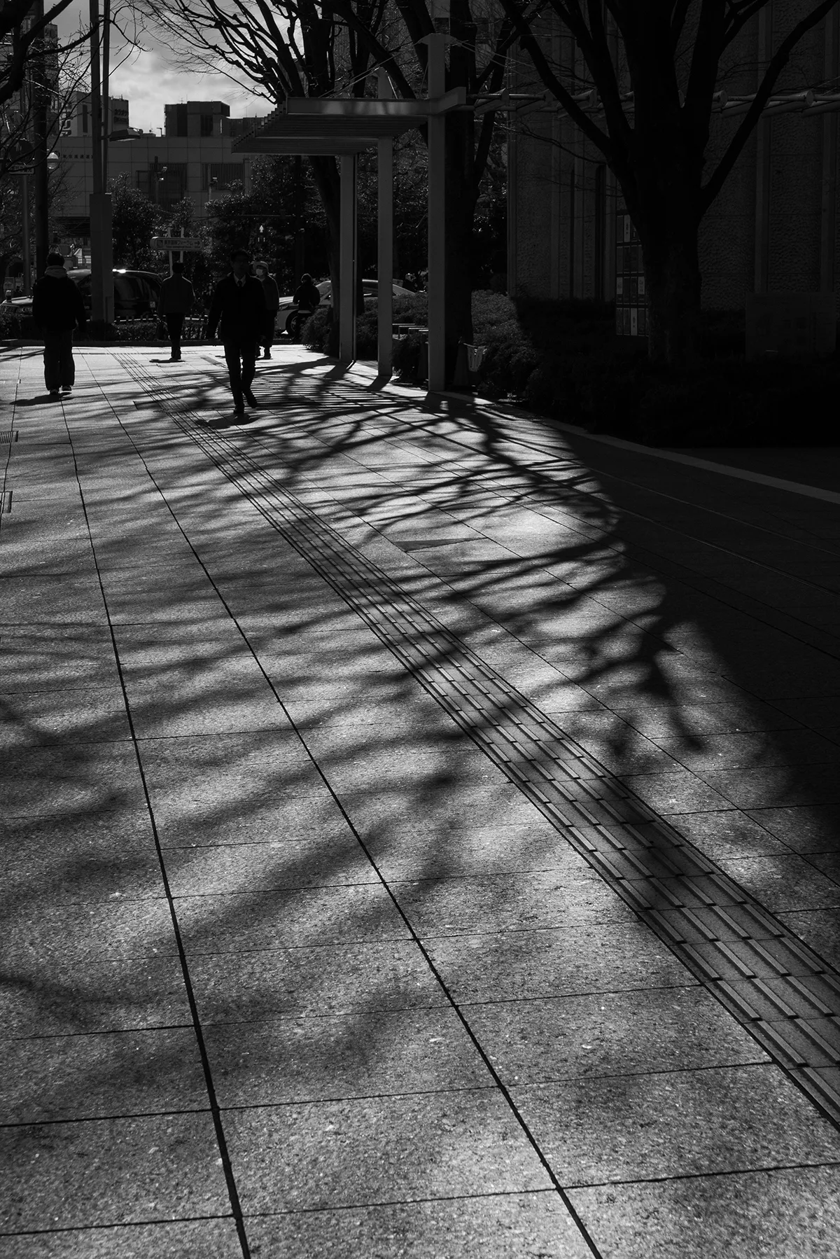 f6.3, 1/2000, ISO200, 68mm/ライカD-LUX8