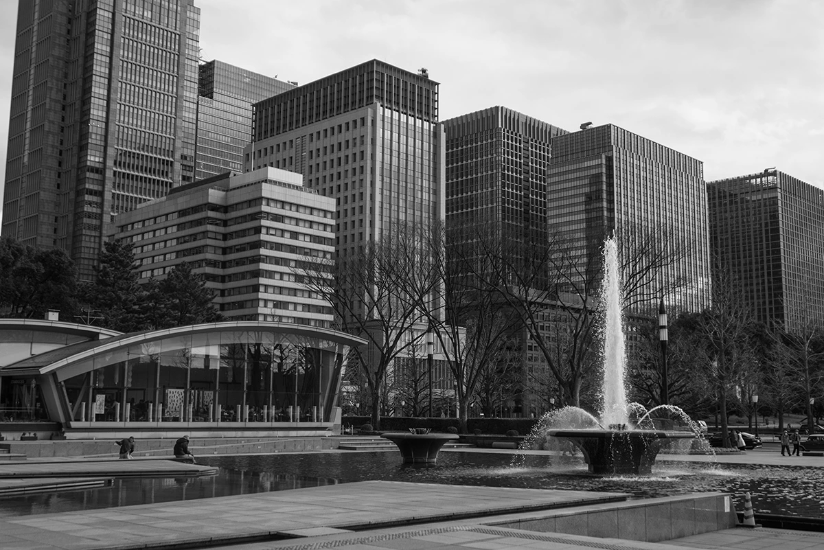 f2.5, 1/2500, ISO200, 41mm/ライカD-LUX8