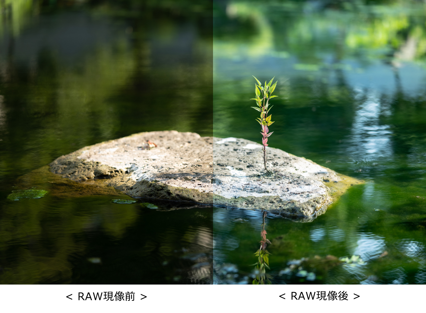 Photography Tips はじめてのraw現像 ライカオンラインストア