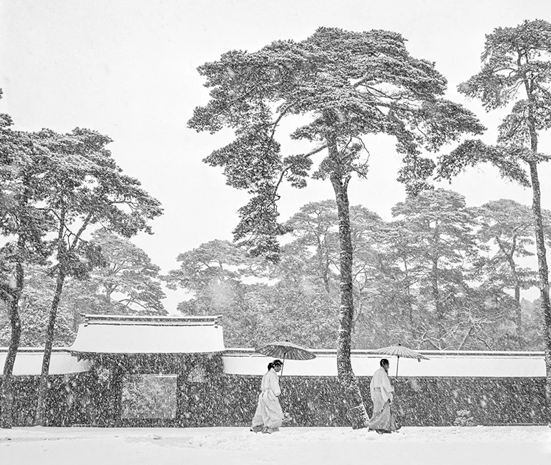 Meiji Shrine, 1951 © Werner Bischof Estate / Magnum Photos