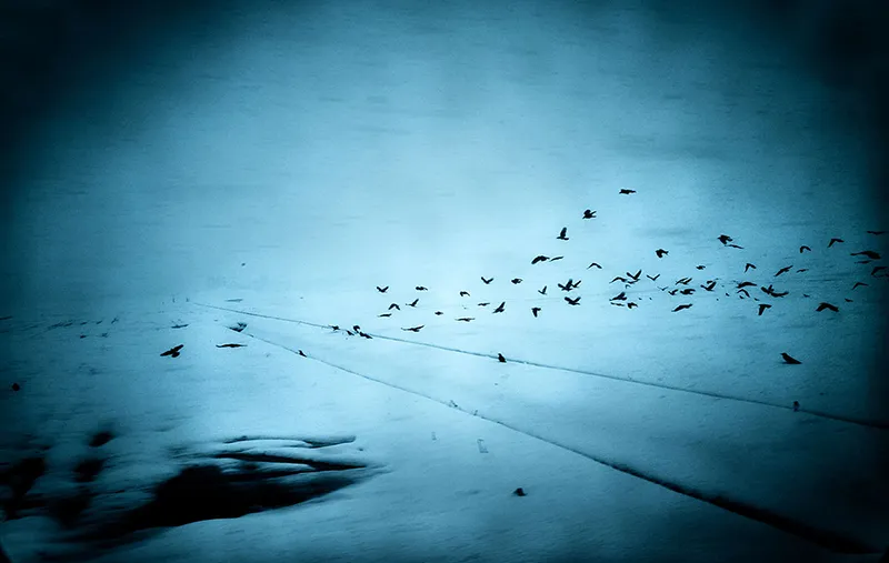 Into the Silence © Yasuhiro Ogawa