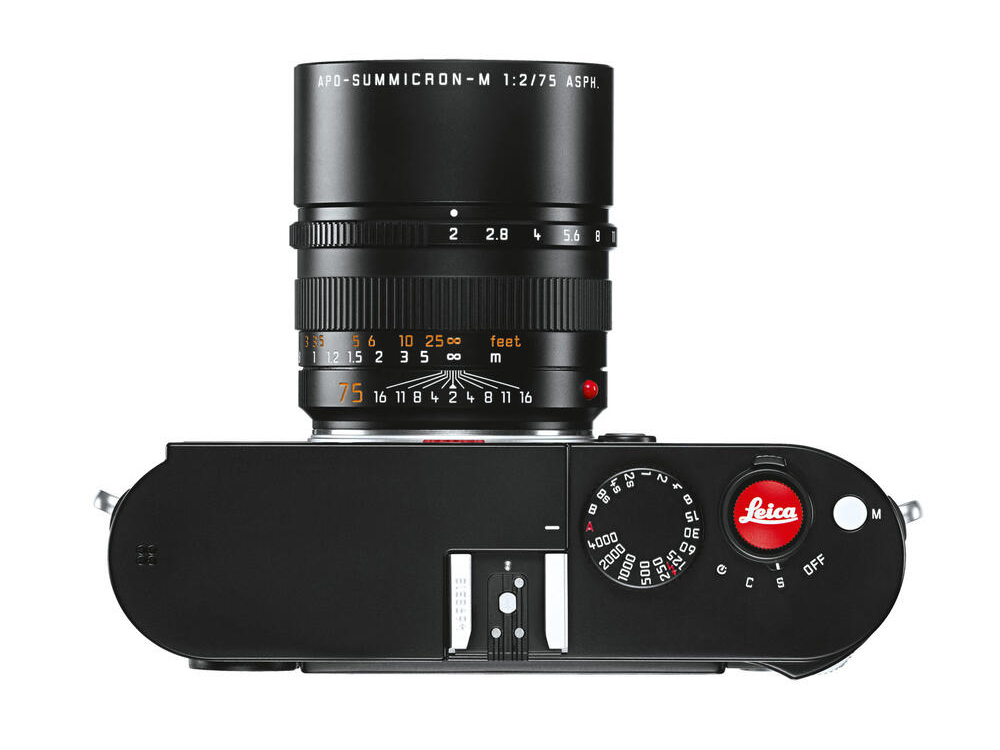 LEICA ライカ M10 純正 サムレスト レリーズボタン 12mm クローム-